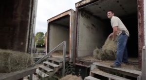 Farm_1