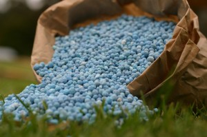fertilizer