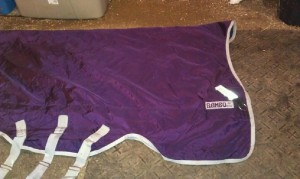 blanket blanket