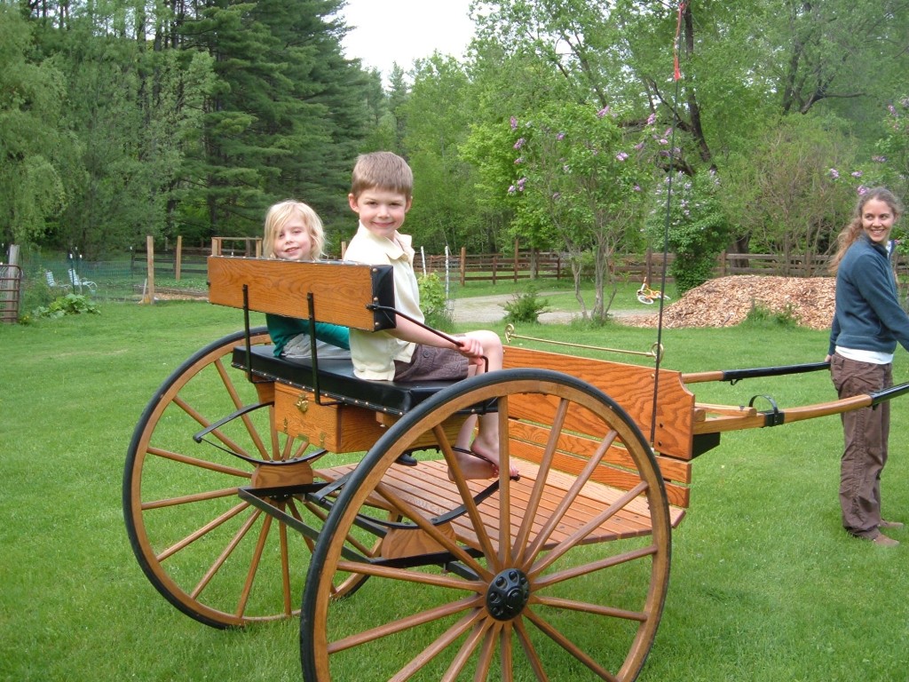 Amish made Meadowbrook type Horse Cart Guys Farm and Yard